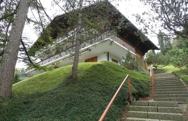 Hornflue (Wohlwender) - Foto 4