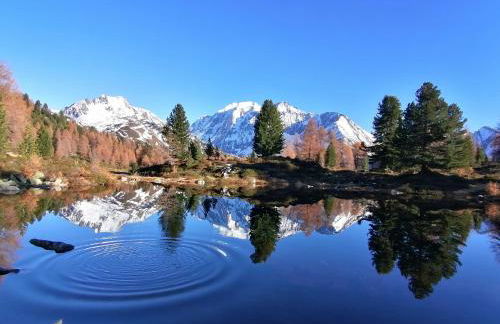 Ferienwohnungen Unterangerhof - Photo 23