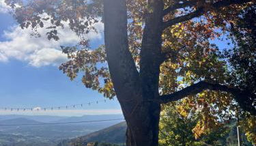 Quinta da Hortigueira - Country House - Foto 5