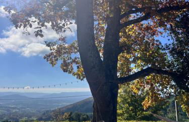 Quinta da Hortigueira - Country House - Foto 5