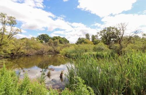 Swallow Cottage - Photo 18