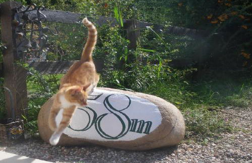 Residenza Torre Antica - Foto 31