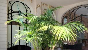 Le Boudoir Monsieur Aurélien - Suite Hôtelière - Foto 4, Lobby or reception