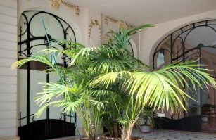 Le Boudoir Monsieur Aurélien - Suite Hôtelière - Foto 4