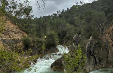 Casa Javi y Carmen - Foto 31