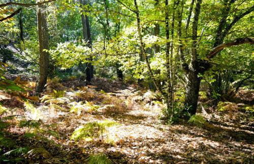 Casa Rural “La Julianita” - Foto 33