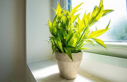 Luxury 5BDR with City Access, Free Parking and Wi-Fi - Photo 42