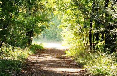 Wohnung Adlerhorst in Eversen-Heide - Foto 17
