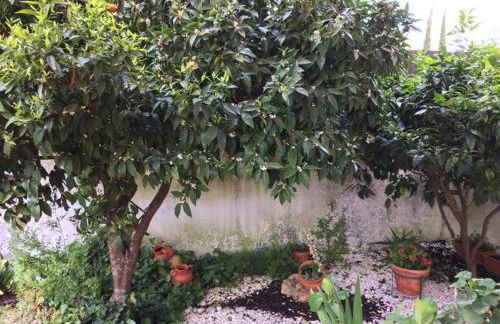 Moradia do Pinhal - Foto 25