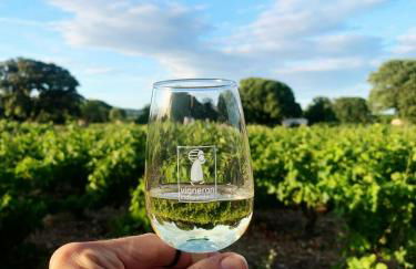 Charming House In An Organic Wine Estate - Foto 30