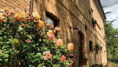 Countryhouse Montebello - Foto 2