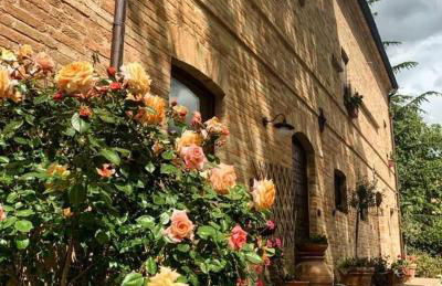 Countryhouse Montebello - Foto 2