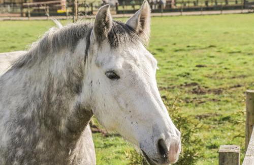 Willow Lodge - Foto 39