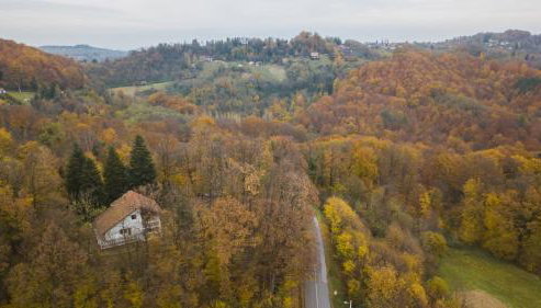 Old Chestnut Vacation Home - Foto 5