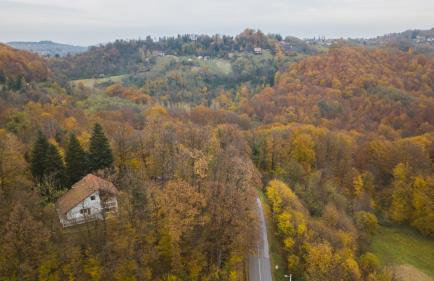 Old Chestnut Vacation Home - Foto 5