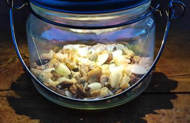 Kameni cvijet - Foto 11