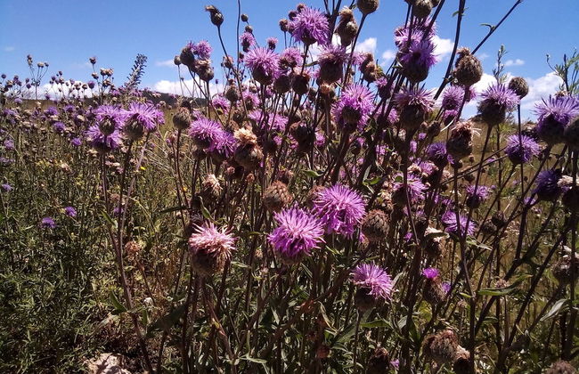 Eco-friendly 2-bedrooms Chalet in Plitvice Lakes - Foto 20