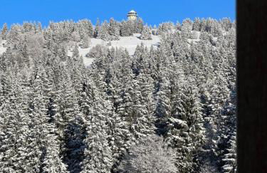 Haus Wiesenquelle, Deluxe-Apartment 'Feld & Berg' - Foto 20