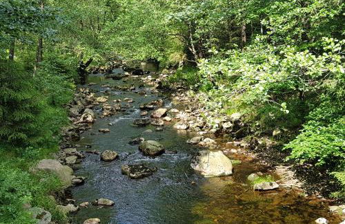 Harz-Butze - Foto 23