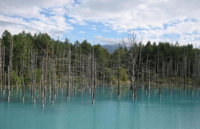 Stay in Biei - Foto 60