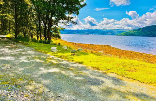 Seal Cove Cabin - Luxury Glamping - Foto 20