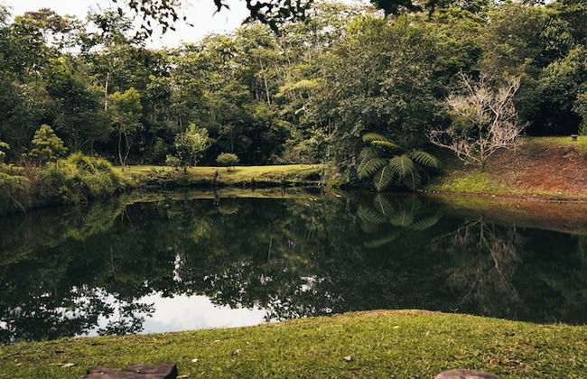 Macas Glamping - Foto 50