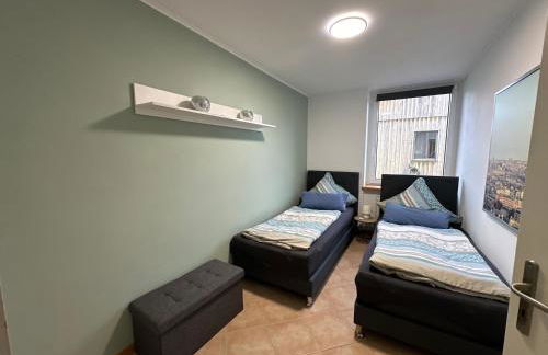 Indigo Terra - Foto 5