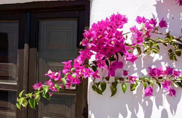 Casa Miguel Montefrio - Foto 53