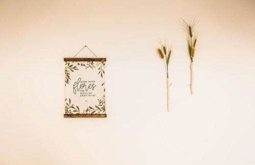 Cerro da Campaniça - Foto 13