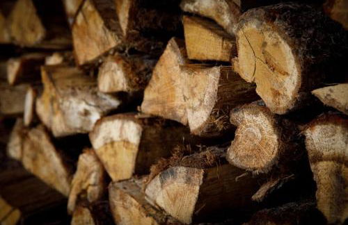 Preciosa Casa Cal Jaumet - Photo 48