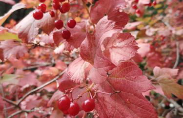 El Rincón de María. - Foto 30