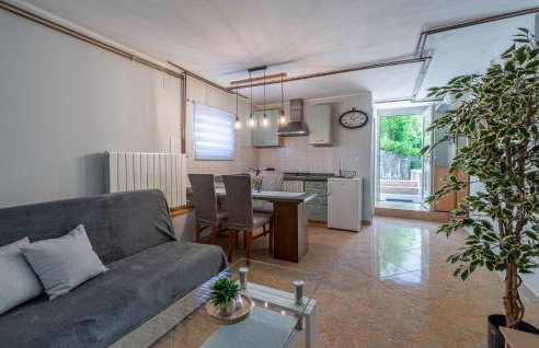 Holiday Home Cerovlje Ii - Photo 22