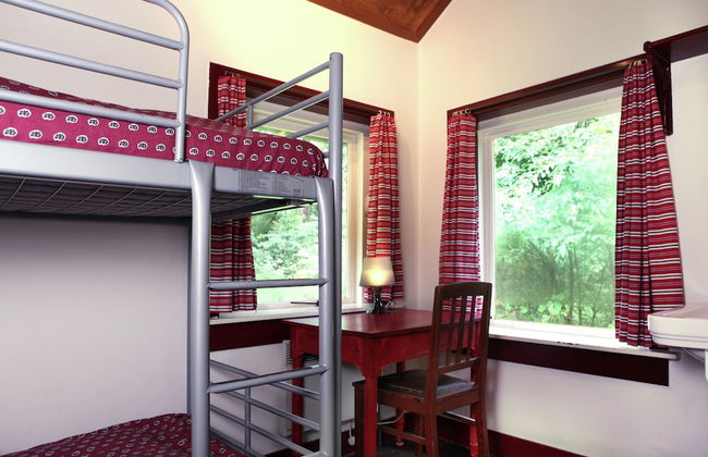 Cozy Holiday Home near Forest in Zuidwolde - Foto 6