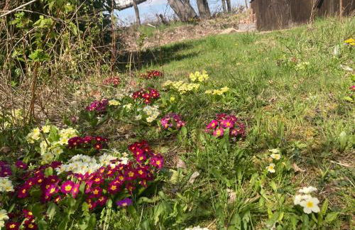 Familienfreundliche Unterkunft direkt am Nationalpark unteres Odertal - Photo 6