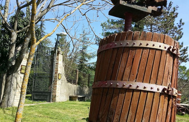 Country House Santa Felicita la Paterna - Foto 31