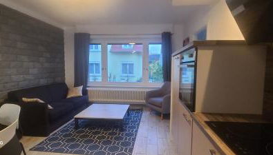 Strasbourg Centre Historique 15 mn en Tram et Aéroport Parking gratuit - Foto 3