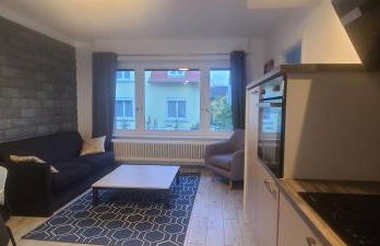 Strasbourg Centre Historique 15 mn en Tram et Aéroport Parking gratuit - Foto 3