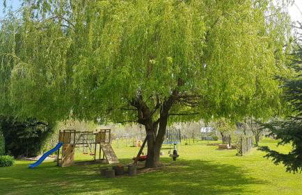 Apartman Barbara - Foto 33