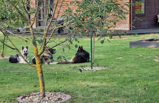 Wooden House Kolczewo Near Baltic Sea Beach - Foto 29