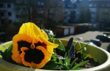 Zentrales Apartement Bremen - Foto 9