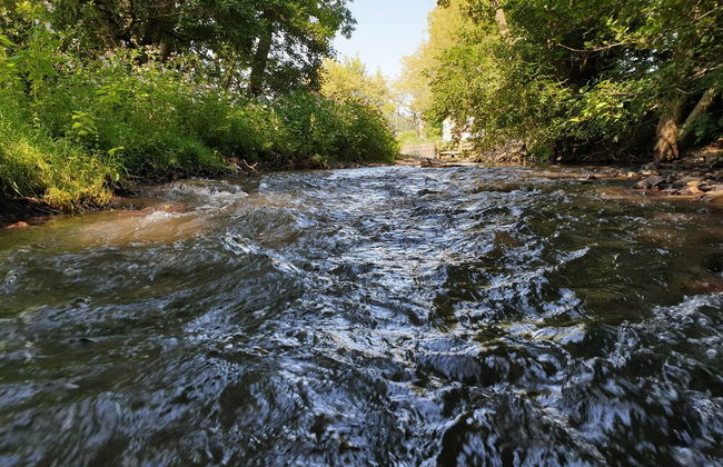 Shropshire - Riverside - Cabin - Sleeps 2 - Hottub - Foto 10