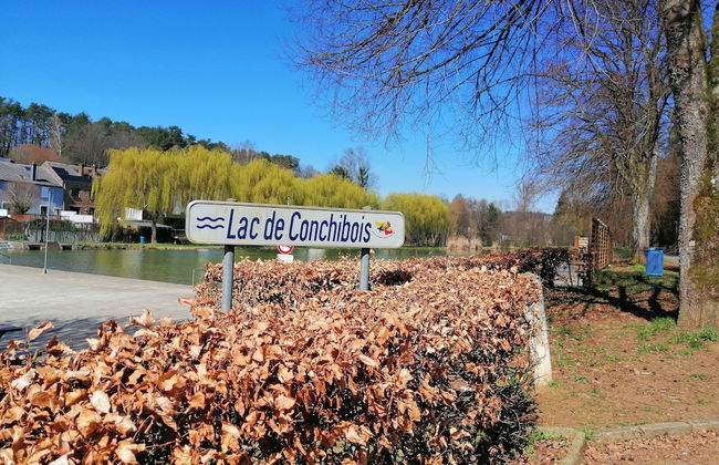 Nice Chalet by the Woods in Saint-leger - Foto 29