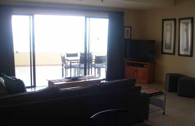 Lazy Lizard - Foto 18