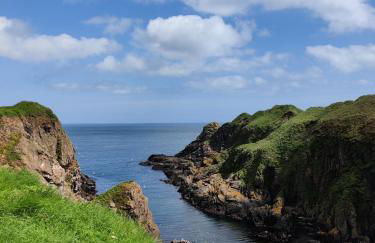 Wildflower Eco Lodges - Foto 63