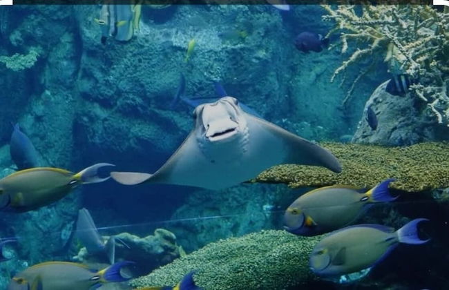 Cozy Retreat Near Downtown Perfect for Families - Foto 64