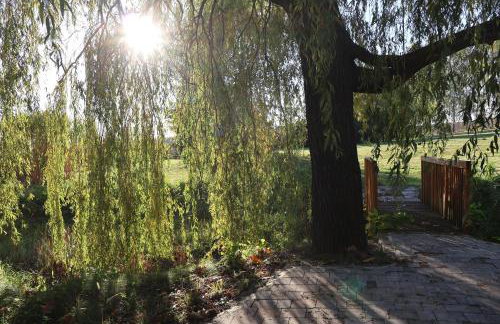 Rezydencja Pod Platanem - Photo 66