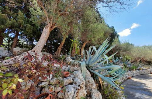 Villa del Commendatore Sirugo - Foto 24