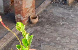 Camugnano farm - Foto 14