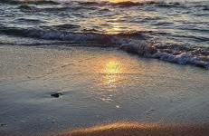 Ferienwohnung Ostsee Graal-Müritz Küstenwald - Foto 27