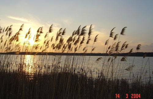 Ferienwohnung Mayer - Photo 8